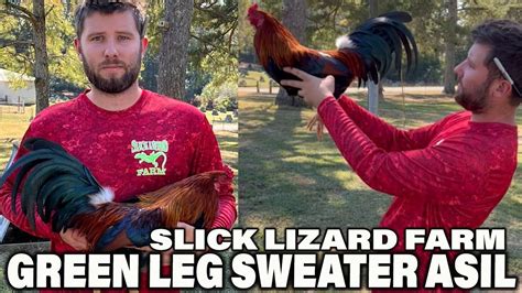 GREEN LEGGED SWEATER .